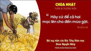 Suy niệm Tin mừng: Chúa nhật 16 Thường niên năm A (Mt 13,24-43) - ĐTGM Giuse Nguyễn Năng