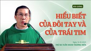 Hiểu biết của đôi tay và của trái tim - Lm Giuse Đặng Chí Lĩnh | Thứ Ba tuần XXVIII Thường niên