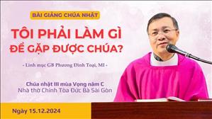 Tôi phải làm gì để gặp được Chúa? - Lm GB Phương Đình Toại, MI | CN III MV năm C