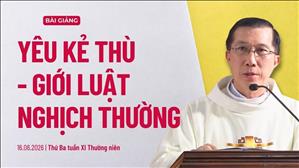 Yêu kẻ thù: Giới luật nghịch thường - Lm Giuse Đặng Chí Lĩnh | Thứ Ba tuần XI Thường niên