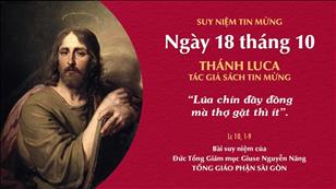 TGP Sài Gòn - Suy niệm Tin mừng: Thánh Luca, tác giả sách Tin mừng (Lc 10, 1-9)