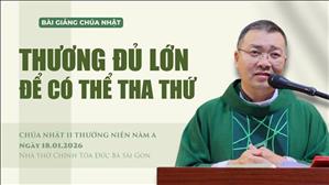 Thương đủ lớn để có thể tha thứ - Lm GB Phương Đình Toại, MI | CN II TN năm A