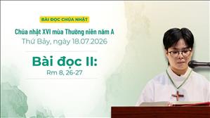  Bài đọc II: Rm 8, 26-27 | Chúa nhật XVI Thường niên năm A