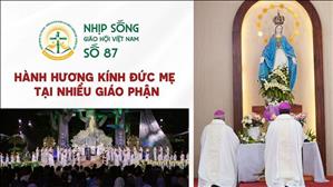 Hành hương kính Đức Mẹ tại nhiều Giáo phận | NSGHVN 87