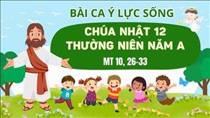 Bài ca ý lực sống - Chúa nhật 12 Thường niên năm A 2026 - Mt 10, 26-33