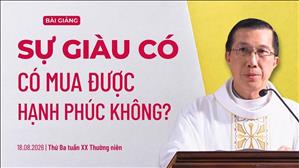 Sự giàu có có mua được hạnh phúc không? - Lm Giuse Đặng Chí Lĩnh | Thứ Ba tuần XX Thường niên