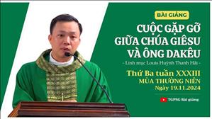 Cuộc gặp gỡ giữa Chúa Giêsu và ông Dakêu - Lm Louis Huỳnh Thanh Hải | Thứ Ba tuần XXXIII TN