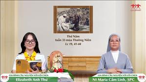 Dấu Chỉ Cứu Độ - Thứ Năm tuần XXXIII Thường niên (Lc 19, 41-44)