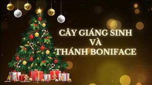 Bài 82: Cây Giáng Sinh & Thánh BONIFACE | Văn Hoá Tín Ngưỡng Việt Nam