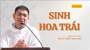 Sinh hoa trái - Lm Phêrô Phạm Kim Quyền, MI | Thứ Tư tuần V Phục sinh