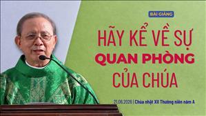 Hãy kể về sự quan phòng của Chúa - Chúa nhật XII Thường niên năm A