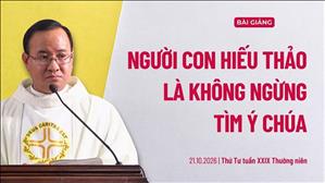 Người con hiếu thảo là không ngừng tìm ý Chúa - Lm Giuse Phan Quang Trí, O.Carm