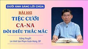 Bài 103: Tiệc cưới Ca-na, đôi điều thắc mắc | Dưới ánh sáng Lời Chúa