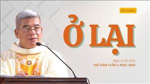 Ở lại - Lm Giuse Hoàng Ngọc Dũng | Thứ Năm tuần V Phục sinh