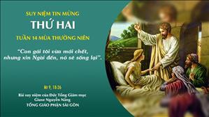 TGP Sài Gòn - Suy niệm Tin mừng: Thứ Hai tuần 14 mùa Thường niên (Mt 9, 18-26)