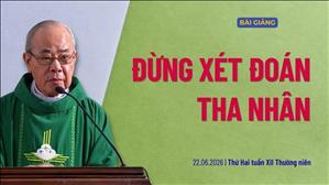  Đừng xét đoán tha nhân - Lm Rôcô Nguyễn Duy | Thứ Hai tuần XII Thường niên