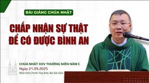 Chấp nhận sự thật để có được bình an - Lm GB Phương Đình Toại, MI | CN XXV TN năm C