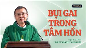 Bụi gai trong tâm hồn - Lm GB Phương Đình Toại, MI | Thứ Tư tuần XVI Thường niên