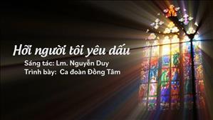 TGP Sài Gòn: 𝑯𝒐̛̃𝒊 𝒏𝒈𝒖̛𝒐̛̀𝒊 𝒕𝒐̂𝒊 𝒚𝒆̂𝒖 𝒅𝒂̂́𝒖 - Lm. Nguyễn Duy