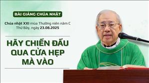 Hãy chiến đấu qua cửa hẹp mà vào - Lm Ignatio Hồ Văn Xuân | CN XXI TN năm C