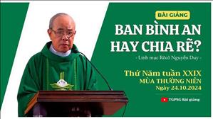 Ban bình an hay chia rẽ? - Lm Rôcô Nguyễn Duy | Thứ Năm tuần XXIX TN