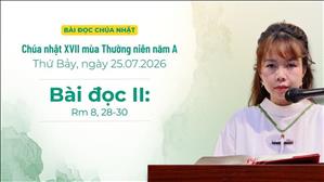 Bài đọc II: Rm 8, 28-30 | Chúa nhật XVII Thường niên năm A