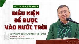 Điều kiện để được vào Nước Trời - Lm GB Phương Đình Toại, MI | CN XXI TN năm C