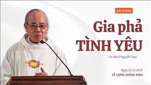 Gia phả TÌNH YÊU - Lm Rôcô Nguyễn Duy | Lễ Vọng Chúa Giáng sinh