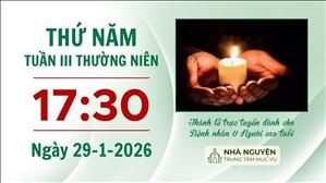 Thứ Năm tuần III Thường niên | 17:30 ngày 29-1-2026 | Trung tâm Mục vụ TGP Sài Gòn