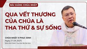 Qua vết thương của Chúa là tha thứ & sự sống - Lm GB Phương Đình Toại, MI | CN II PS