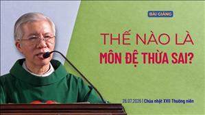  Thế nào là môn đệ thừa sai? - Lm Phanxicô Xaviê Bảo Lộc | Chúa nhật XVII Thường niên năm A
