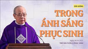 Trong ánh sáng Phục sinh - Lm Rôcô Nguyễn Duy | Thứ Hai tuần II Phục sinh