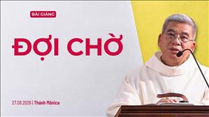  Đợi chờ - Lm Giuse Hoàng Ngọc Dũng | Thứ Năm tuần XXI Thường niên
