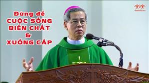 TGP Sài Gòn - Bài giảng thánh lễ Ngày Quốc tế Di dân: Đừng để cuộc sống biến chất và xuống cấp