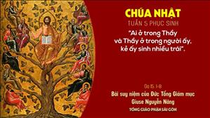 TGP Sài Gòn - Suy niệm Tin mừng 2-5-2021: CN 5 PS năm B - ĐTGM Giuse Nguyễn Năng