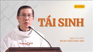 Tái sinh - Lm Giuse Đặng Chí Lĩnh | Thứ Ba tuần II Phục sinh