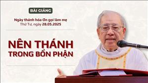 Nên thánh trong bổn phận của mình - Lm Ignatio Hồ Văn Xuân | Ngày thánh hóa ơn gọi làm mẹ