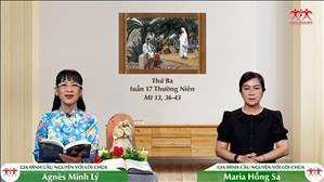 Lòng Kiên Nhẫn Của Thiên Chúa - Thứ Ba tuần XVII Thường niên (Mt 13, 36-43)