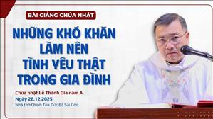 Những khó khăn làm nên tình yêu thật trong gia đình - Lm GB Phương Đình Toại, MI