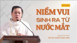 Niềm vui sinh ra từ nước mắt - Lm Louis Huỳnh Thanh Hải | Thứ Sáu tuần VI Phục sinh