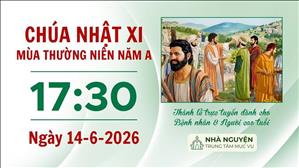 Chúa nhật XI mùa Thường niên năm A | 17:30 ngày 14-6-2026 | Trung tâm Mục vụ TGP Sài Gòn