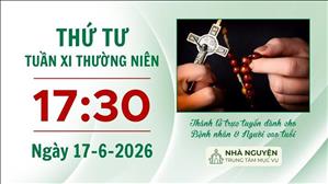 Thứ Tư tuần XI mùa Thường niên | 17:30 ngày 17-6-2026 | Trung tâm Mục vụ TGP Sài Gòn
