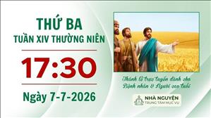 Thứ Ba tuần XIV mùa Thường niên | 17:30 ngày 7-7-2026 | Trung tâm Mục vụ TGP Sài Gòn