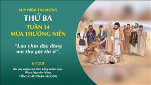TGP Sài Gòn - Suy niệm Tin mừng: Thứ Ba tuần 14 mùa Thường niên (Mt 9, 32-38)