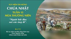 TGP Sài Gòn - Suy niệm Tin mừng: Chúa nhật 15 mùa Thường niên năm B (Mc 6, 7-13)