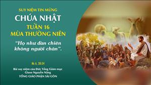 TGP Sài Gòn - Suy niệm Tin mừng: Chúa nhật 16 mùa Thường niên năm B (Mc 6, 30-34)