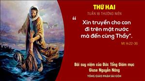 Suy niệm Tin mừng: Thứ Hai tuần 18 Thường niên (Mt 14:22-36) - ĐTGM Giuse Nguyễn Năng