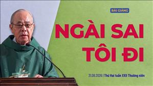 Ngài sai tôi đi - Lm Rôcô Nguyễn Duy | Thứ Hai tuần XXII Thường niên