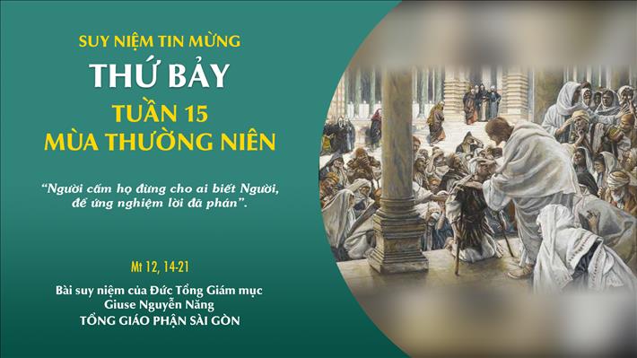 suy niệm tin mừng mt 12 14 21