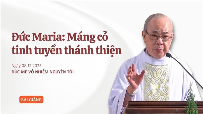 Đức Maria: Máng cỏ tinh tuyền thánh thiện - Đức Maria Vô Nhiễm Nguyên Tội